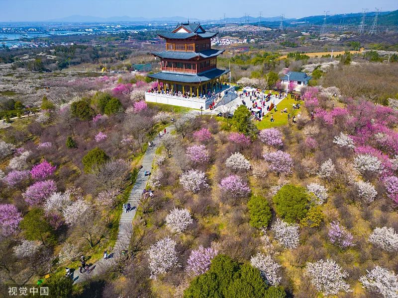 2月26日,南京溧水区傅家边万亩梅园,游客踏青赏梅,度过周末美好时光