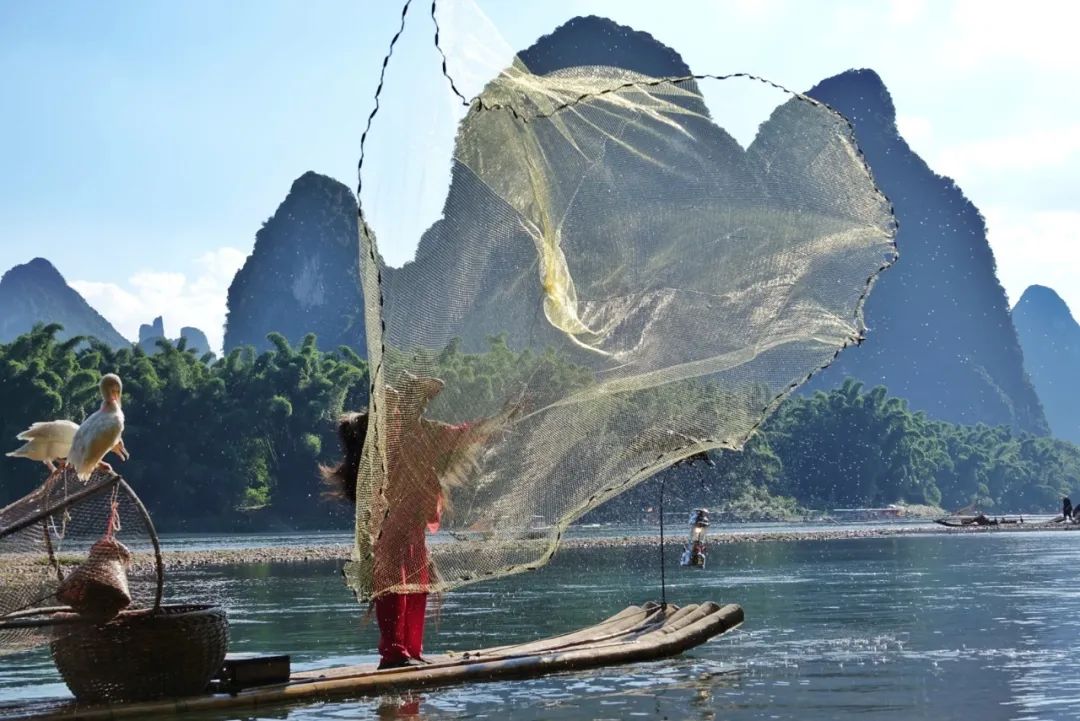 寻找20元人民币上的漓江渔翁|渔民_新浪财经_新浪网