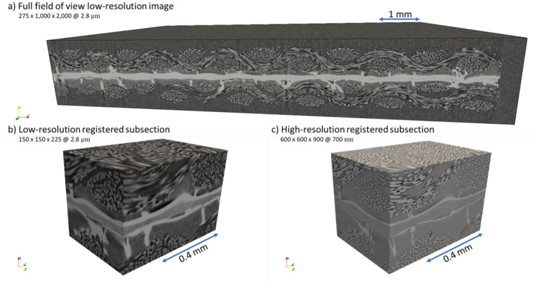 图丨micro-CT 获得的 PEMFC 图像（来源：Nature Communications）