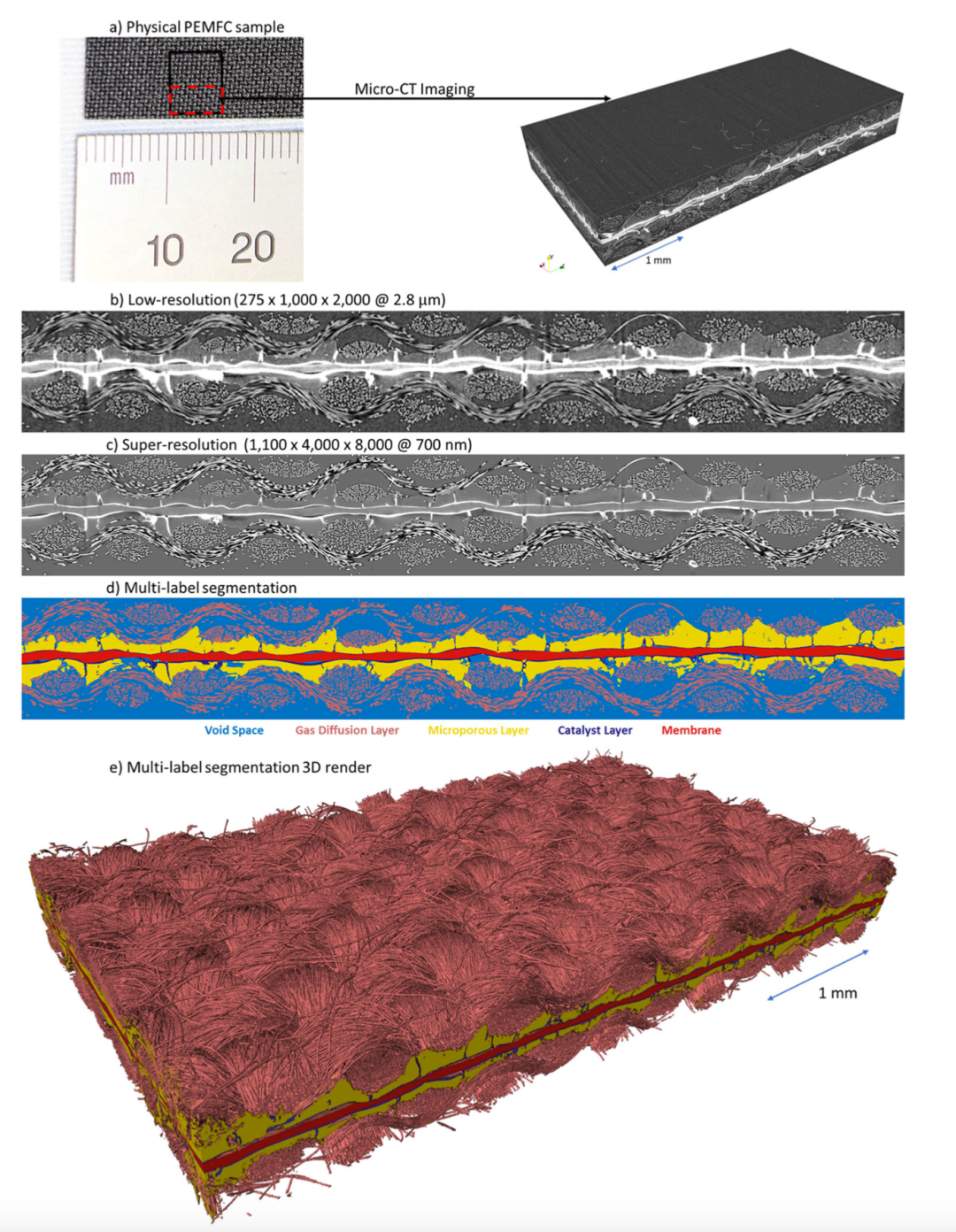 图丨micro-CT 成像、深度学习超分辨率和多标签分割（来源：Nature Communications）