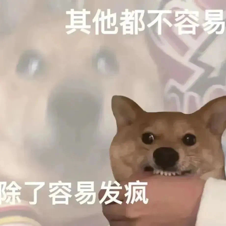 表情包来了 其他都不容易……