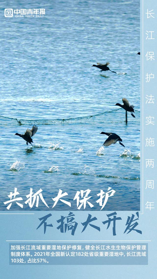 图知道长江保护法实施两周年守护一江碧水滚滚流