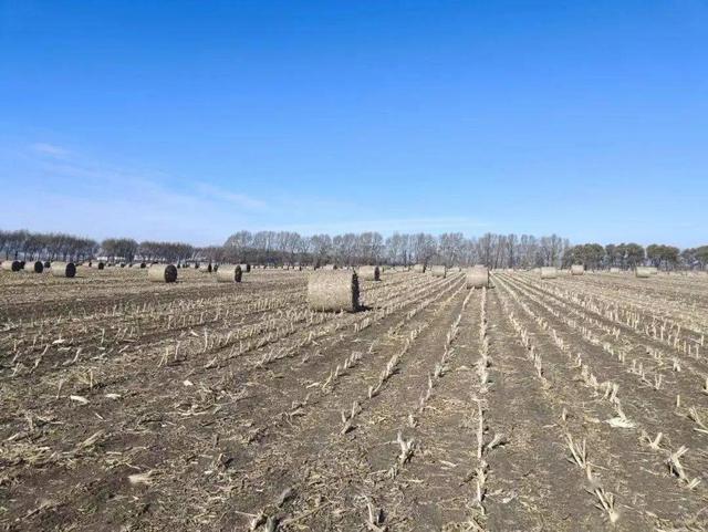 松原市宁江区善友镇全面做好春耕备耕生产工作|合作社_新浪财经_新浪