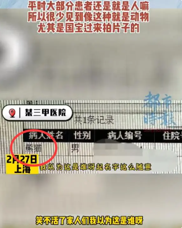 医院有位患者叫熊猫是真熊猫！熊猫七七在医院做CT 动物园回应：因肠梗阻紧急送医