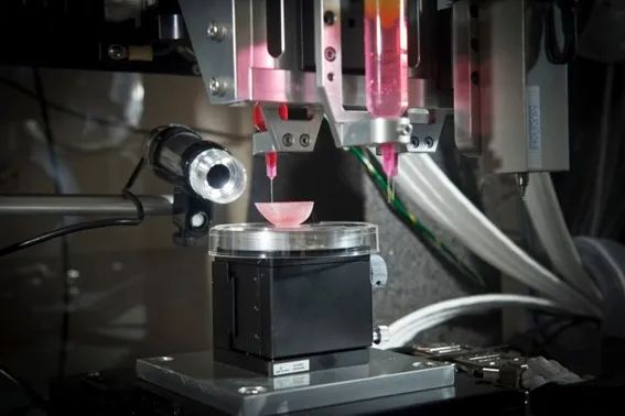 3D生物打印技术使科学家能够更精确地设计组织