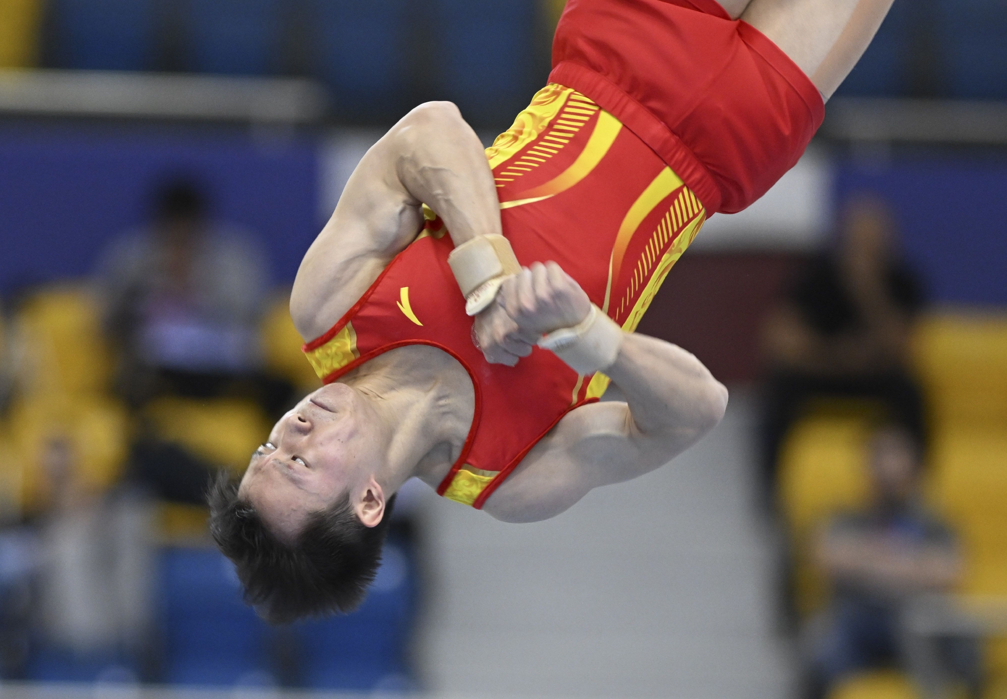 体操——世界杯多哈站:陈治龙无缘男子自由体操决赛|体操|自由体操