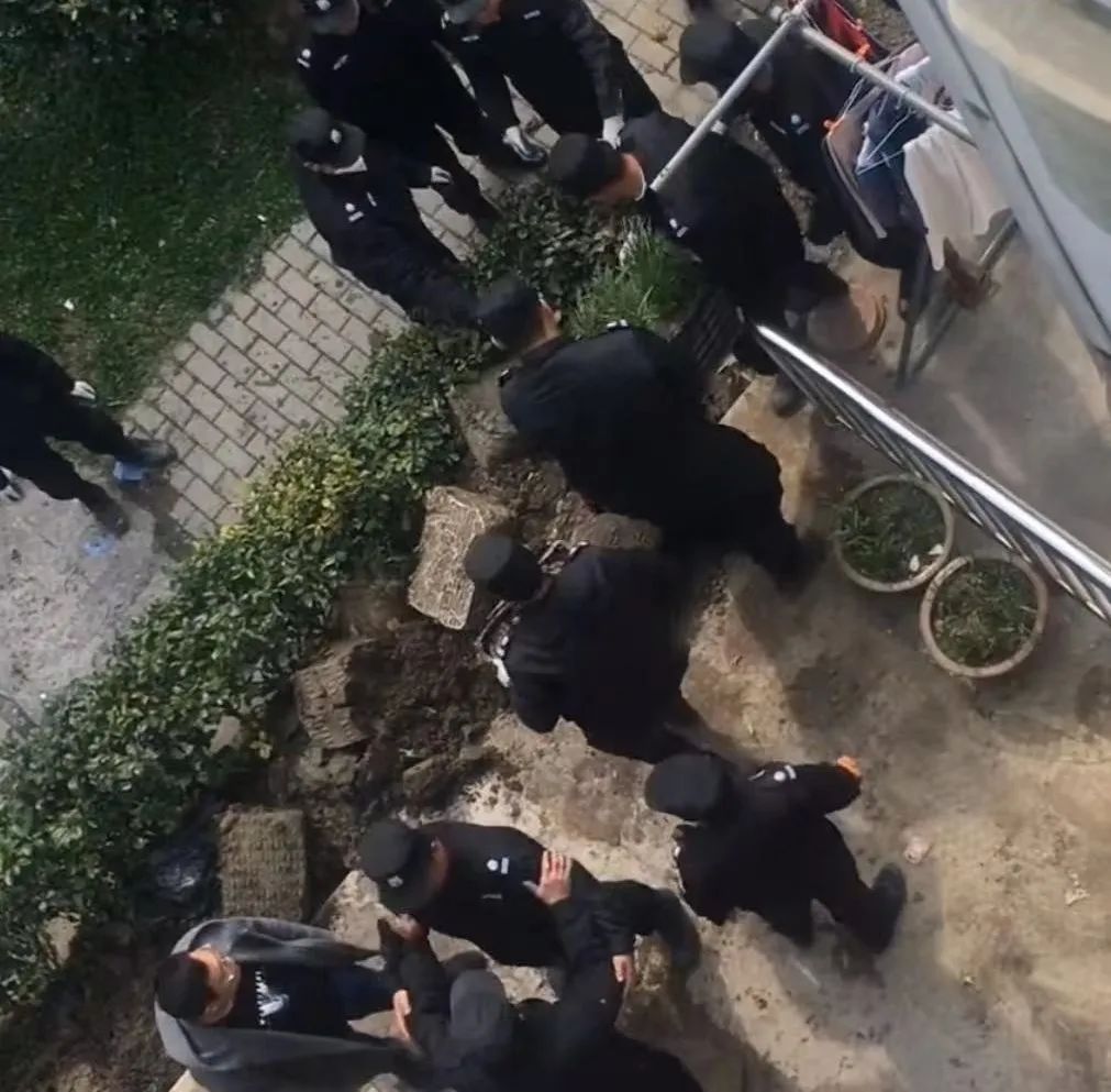 上海一老人自家院子种菜被暴力清理？事实查清，多方回应休闲区蓝鸢梦想 - Www.slyday.coM