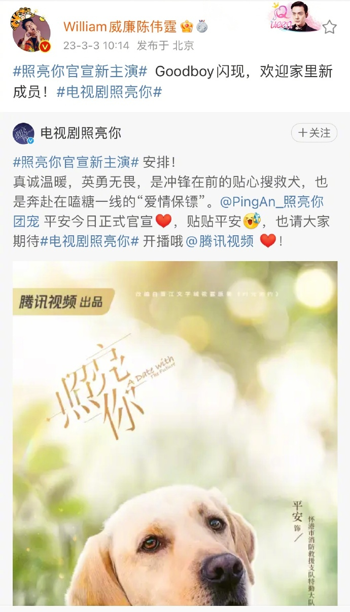 《照亮你》给剧中的狗狗开了账号|照亮你|狗狗|剧中_新浪新闻