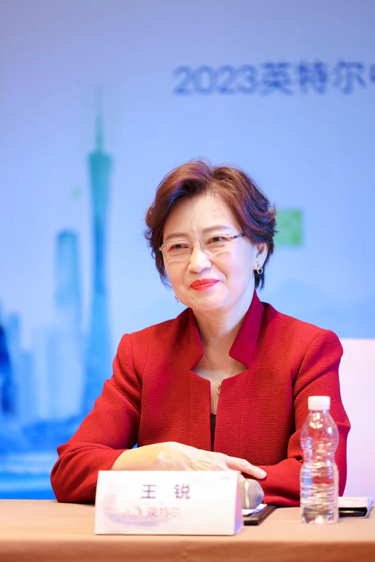 对话英特尔中国董事长王锐：阵痛、转型与中国市场机会|英特尔|台积电|王锐_新浪新闻