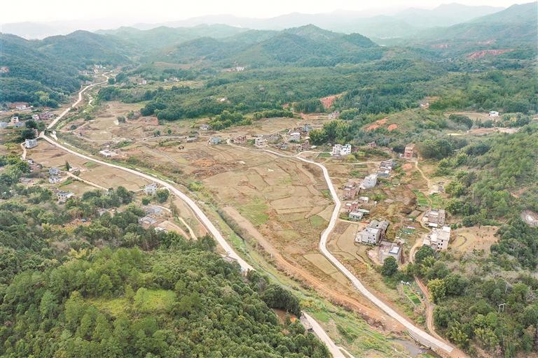 河源紫金县紫城镇以茶产业发展和美丽乡村建设促进产村融合|紫金县