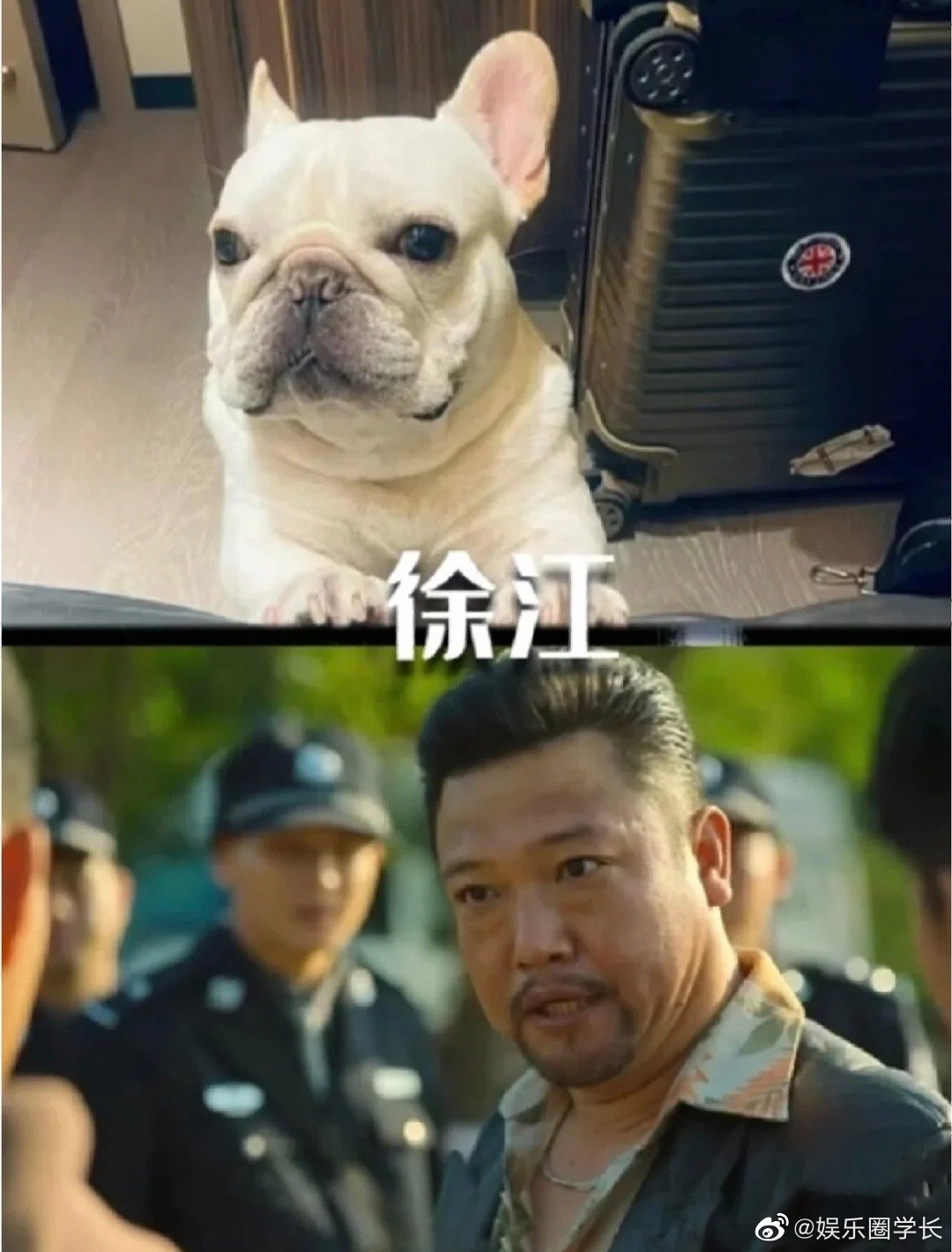 《狂飙》模仿大赛,李宏伟只得了第二名|李宏伟|狂飙_新浪新闻