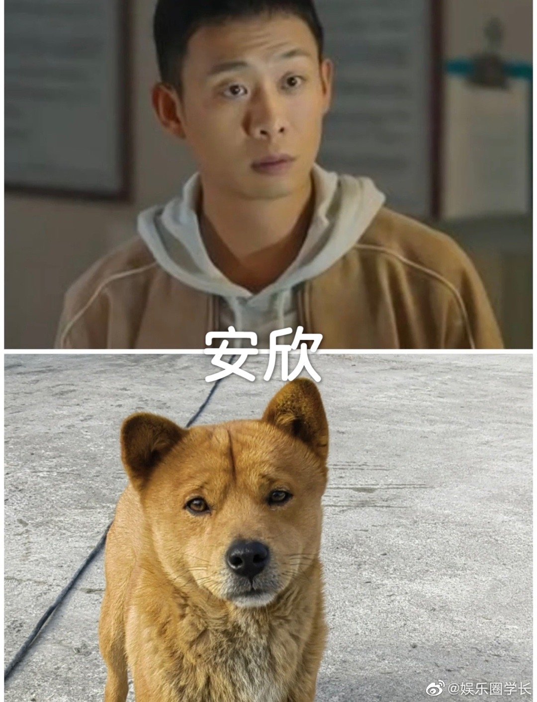 《狂飙》模仿大赛,李宏伟只得了第二名|李宏伟|狂飙_新浪新闻