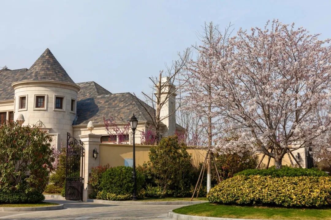 在竞品质时代,看青岛开发商如何演绎"豪宅"|豪宅_新浪财经_新浪网