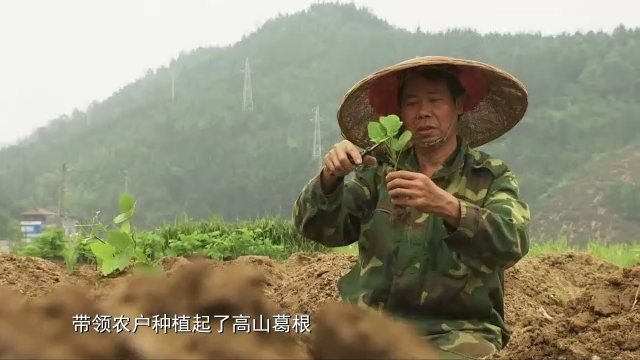 感动中国丨杨宁:不怕弯多山高 只盼家乡更好|杨宁|感动中国_新浪新闻