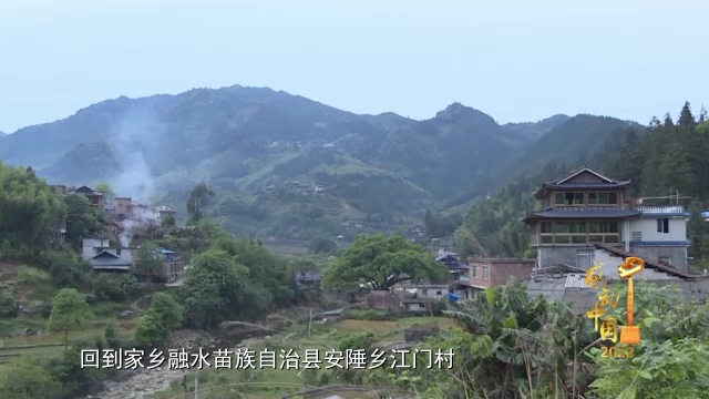 感动中国丨杨宁:不怕弯多山高 只盼家乡更好|杨宁|感动中国_新浪新闻