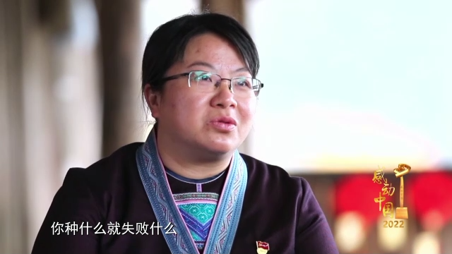 感动中国丨杨宁:不怕弯多山高 只盼家乡更好|杨宁|感动中国_新浪新闻