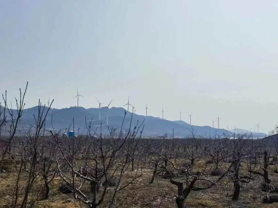 7天，800多公里！男孩与爷爷从河北到山东一路骑行去上学休闲区蓝鸢梦想 - Www.slyday.coM