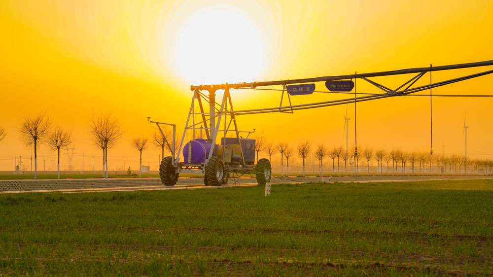 农女致富山里汉宠妻无度