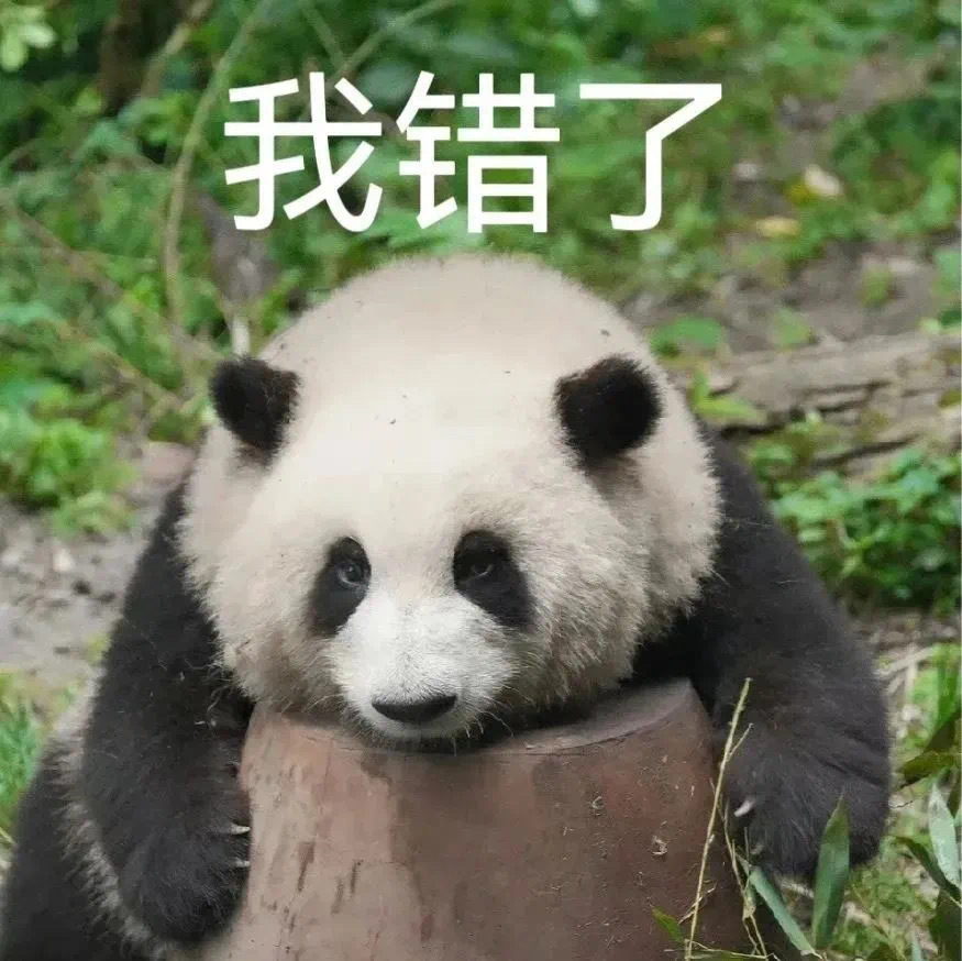表情包来了 大熊猫花花 虔诚的干饭 生活和我 我错了 委屈到变胖