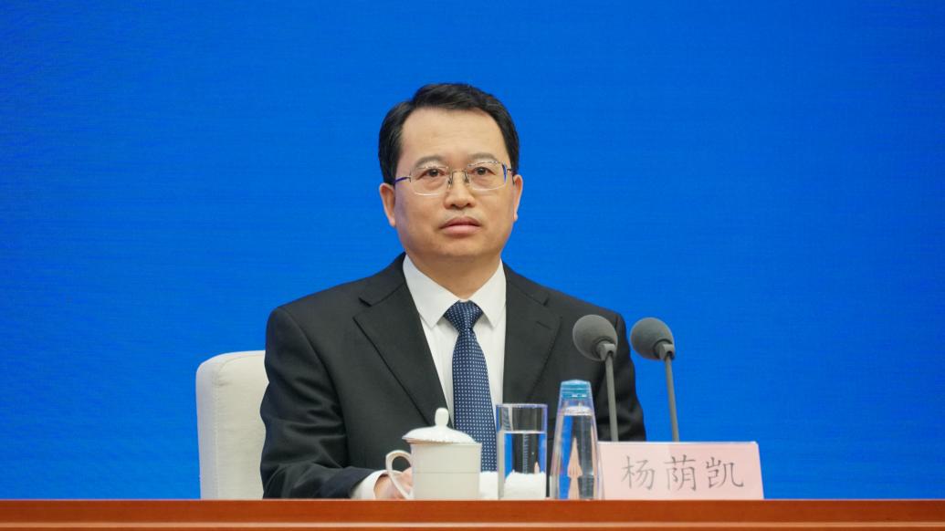 国家发展改革委副主任杨荫凯 &nbsp;澎湃新闻记者 周頔 摄