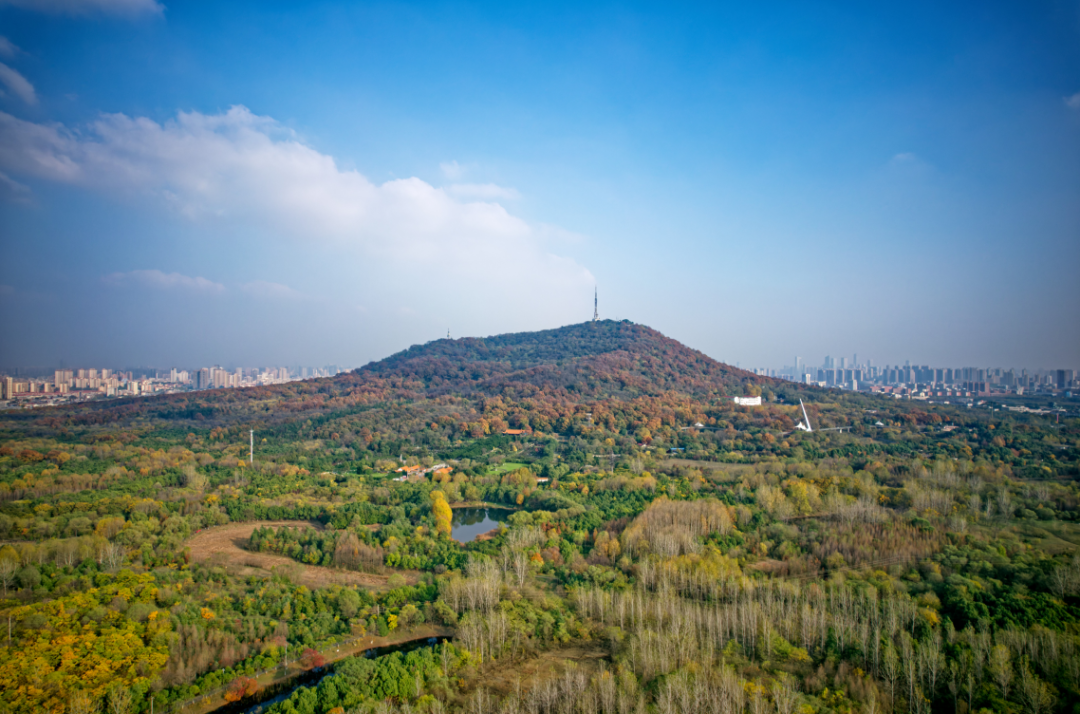 合肥大蜀山山顶图片