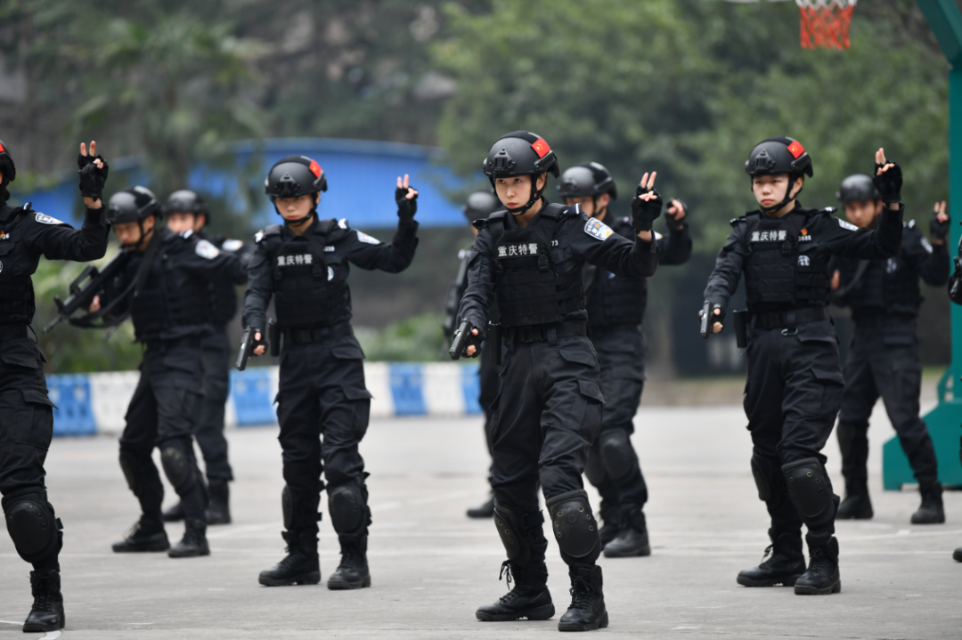 警中玫瑰!|特警_新浪财经_新浪网