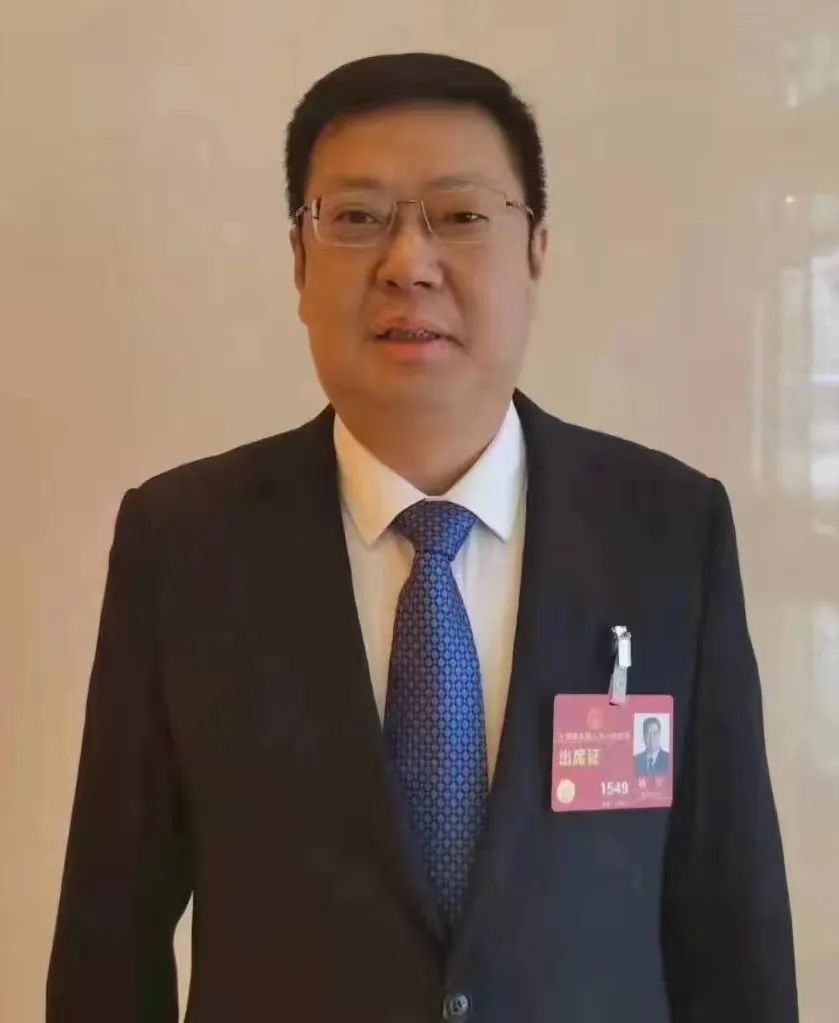 书记市长论坛丨杨军:加快打造武汉都市圈自然生态公园城市__财经头条