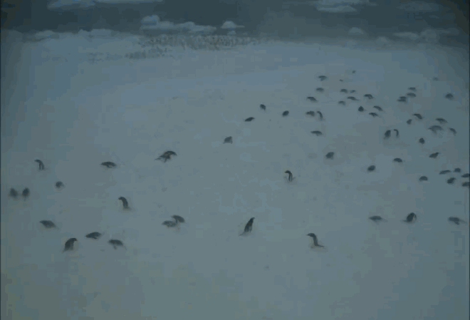 恐怖的融雪能力。图片来源：the verge