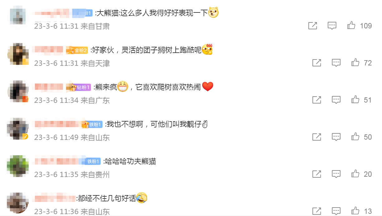 广州动物园大熊猫秀爬树技艺，网友：在一声声靓仔中迷失了自我休闲区蓝鸢梦想 - Www.slyday.coM