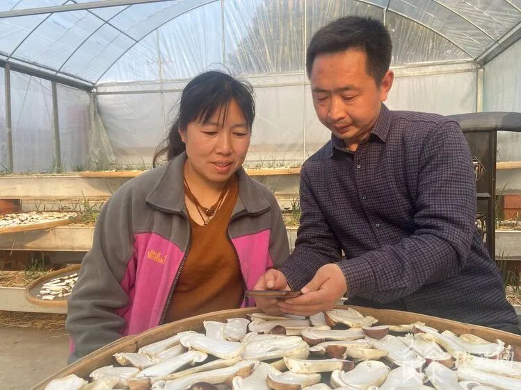 句容在农校卖的女号码