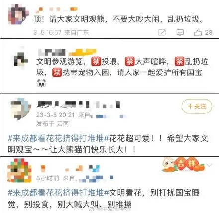 广州动物园大熊猫秀爬树技艺，网友：在一声声靓仔中迷失了自我休闲区蓝鸢梦想 - Www.slyday.coM