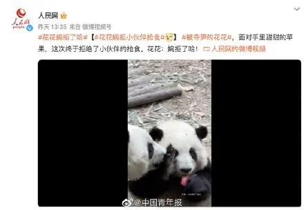 广州动物园大熊猫秀爬树技艺，网友：在一声声靓仔中迷失了自我休闲区蓝鸢梦想 - Www.slyday.coM