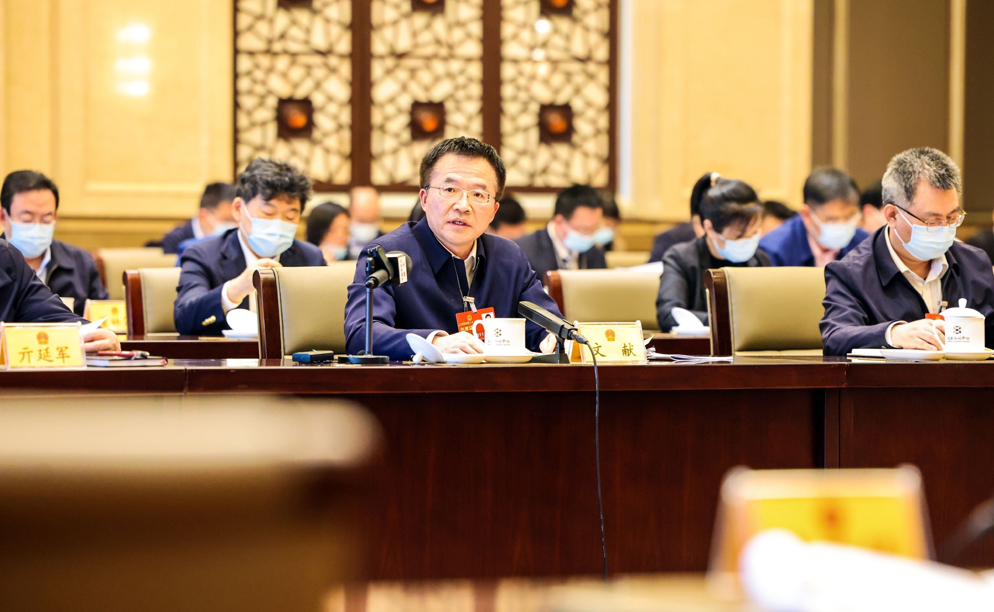 全国人大代表,朝阳区委书记文献.戴冰 摄