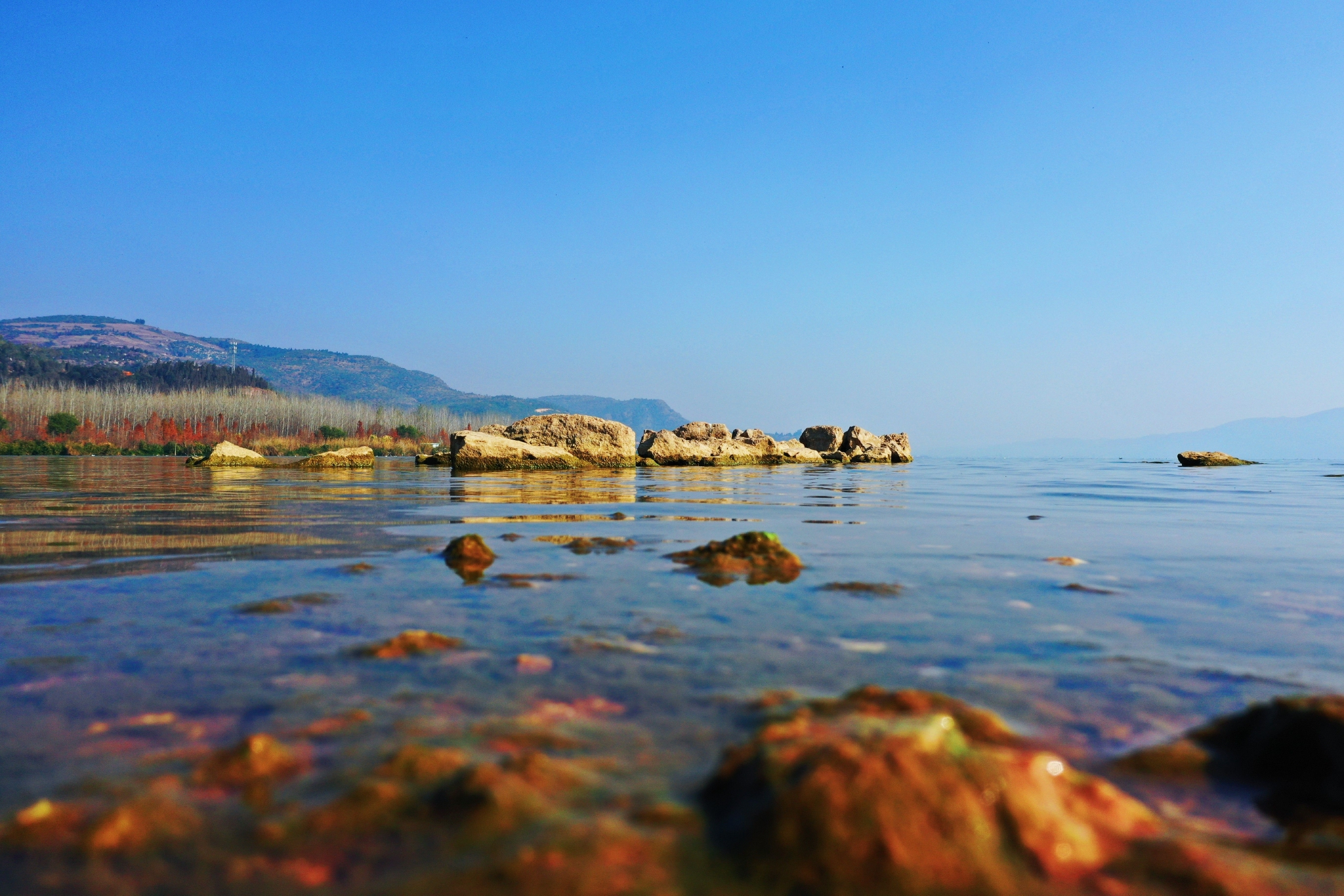 千城胜景丨玉溪江川:笑迎春风 醉看星云湖|玉溪市_新浪新闻