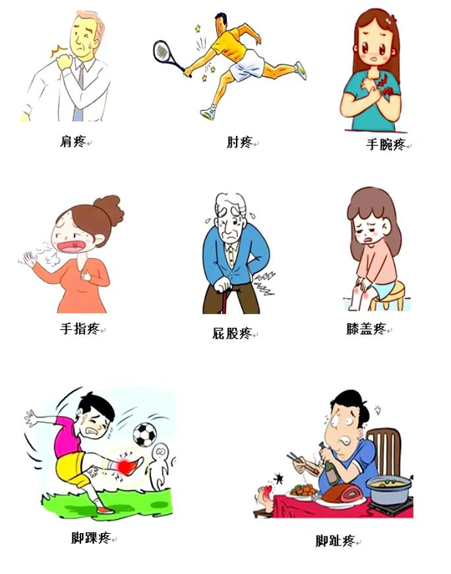 除了中药,中医还有哪些辅助治疗方法?