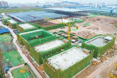 　　天絲集團紅牛飲料（四川）生產基地項目現場。 唐廣 攝