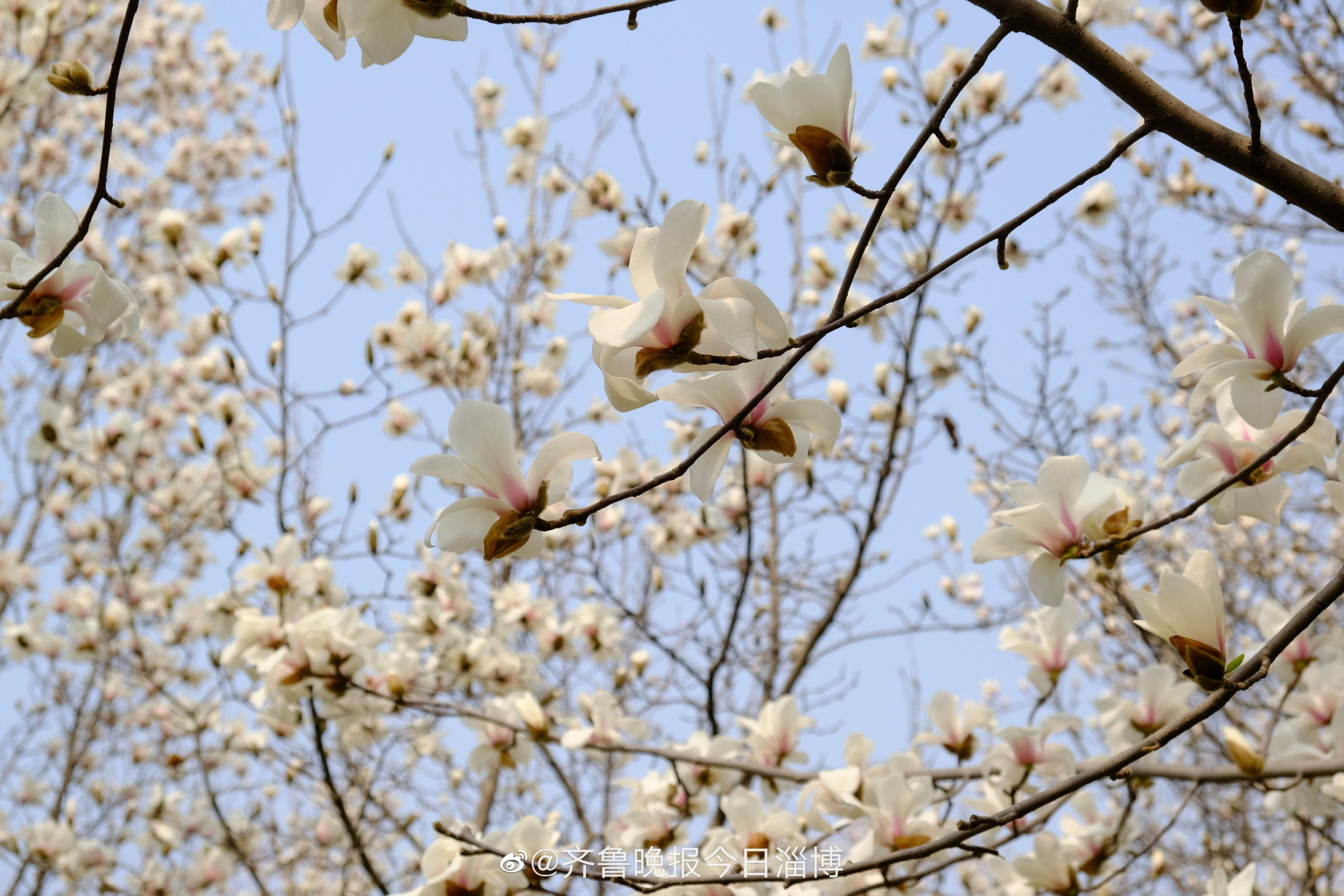 C证能开有航空座椅的车型有哪些 百万元内值得推荐的房车有哪些