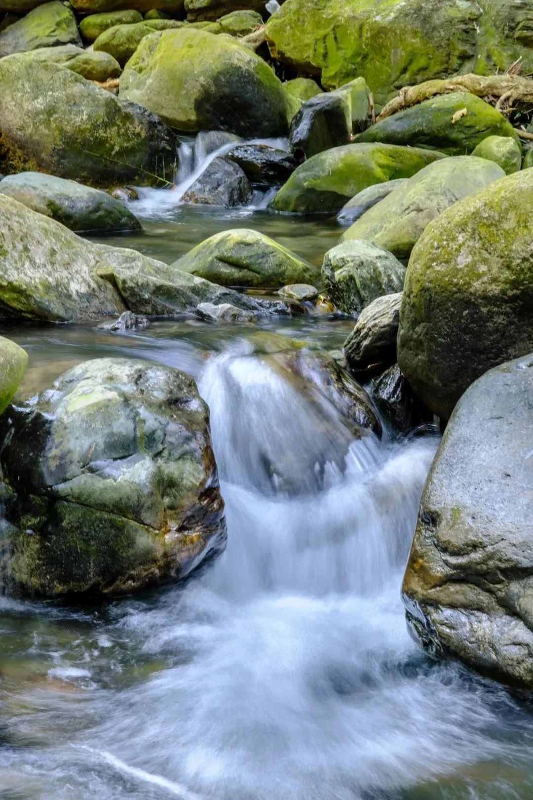 怎么约周围的鸡广东好风物之肇庆篇：裹蒸、玉雕、燕窝、八卦村......这座城市很适合“养老”_https://www.jmylbn.com_新闻资讯_第14张