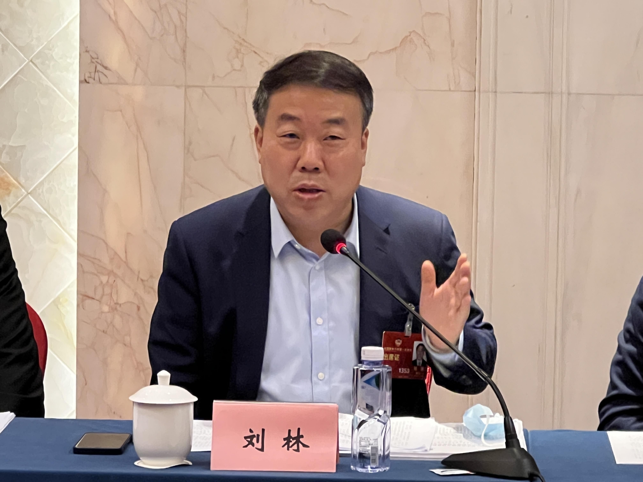 全国政协委员、国家督学、北京城市学院校长刘林。 受访者供图