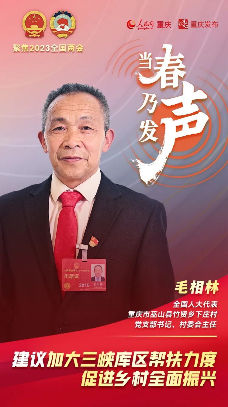 两会当春乃发声乡村振兴医疗养老代表委员这样说