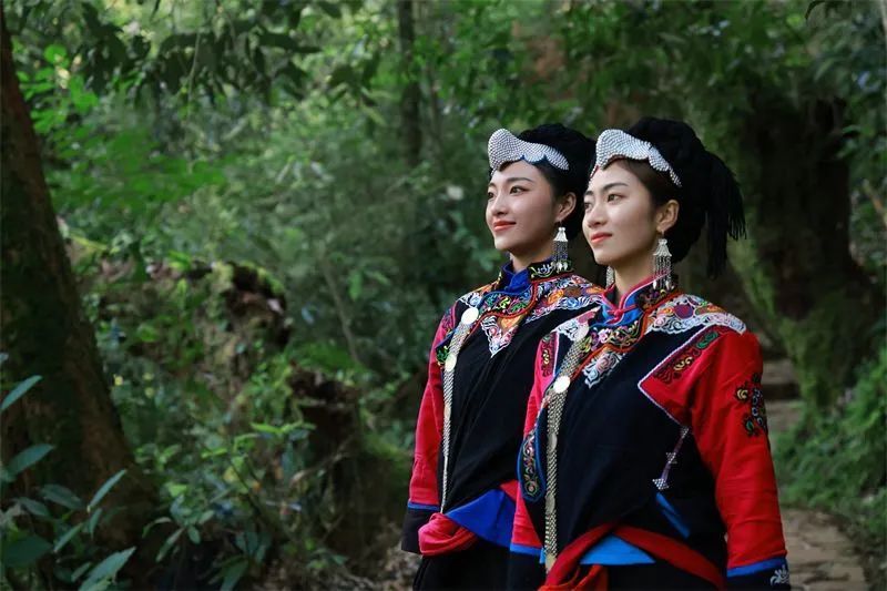 遇见非遗 | 云南红河绿春：解锁彝族服饰背后的“文化密码”|梯田_新浪新闻