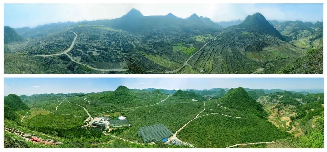 最高人民检察院定点帮扶县——云南省西畴县三光片区石漠化改造前后