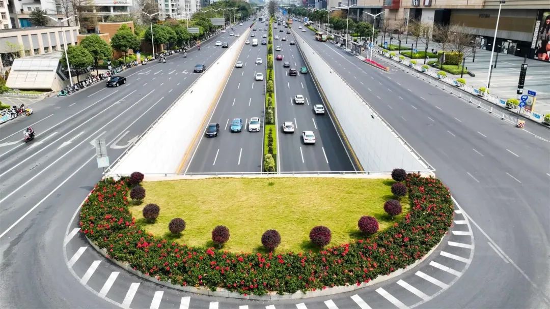 民族青秀路口上的绿化带上,鲜花盛开.