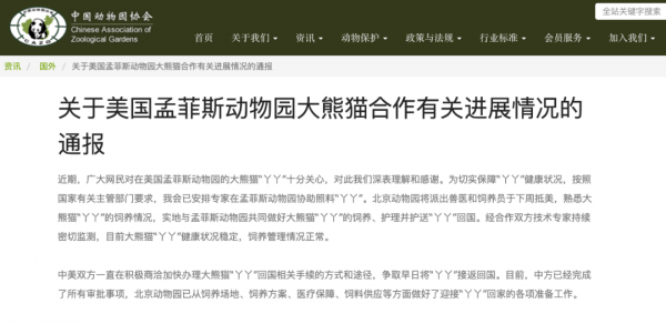 将派兽医和饲养员下周抵美！大熊猫“丫丫”回国最新进展