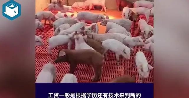 图片来源：抽屉视频截图
