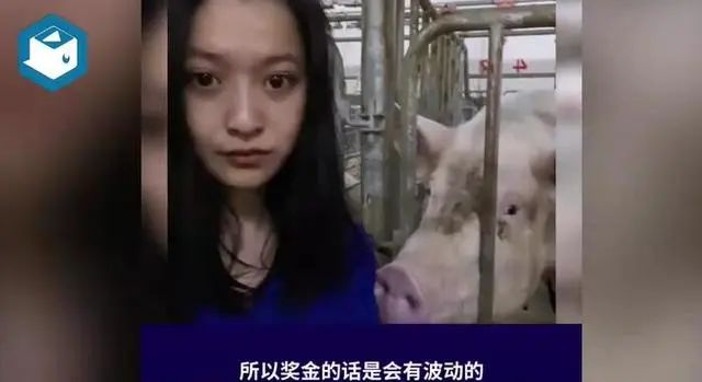 图片来源：抽屉视频截图