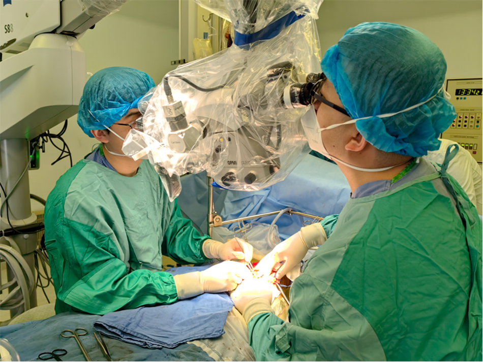 马来西亚10月龄患儿罹患胆道闭锁,来沪实施肝移植手术|手术_新浪财经