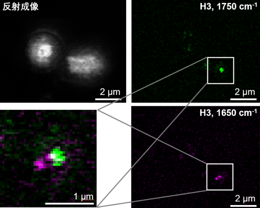 （来源：Nature Photonics）