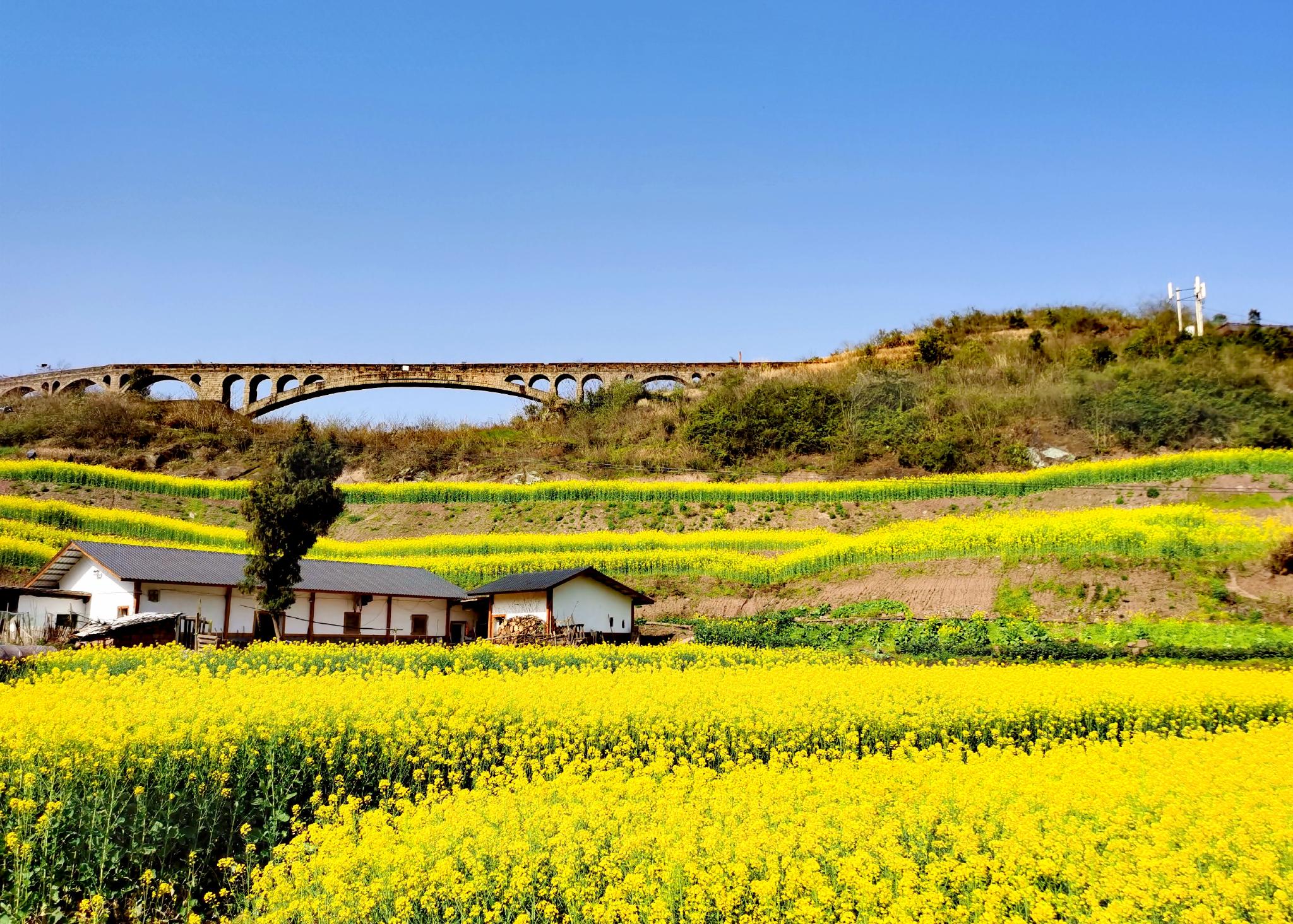 柳荫镇东升村梅家湾.受访单位供图.