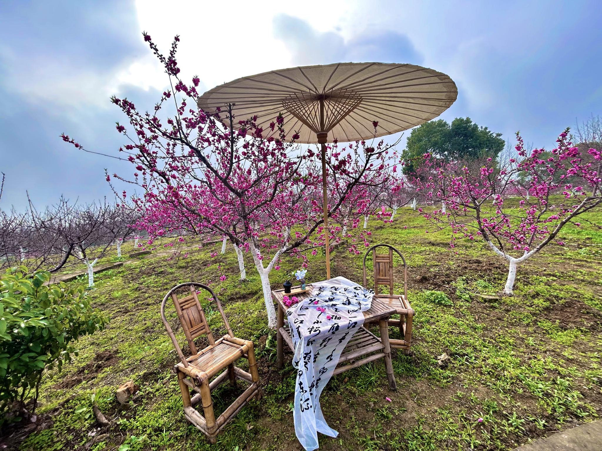 共赏春日盛景,北碚五条乡村休闲旅游精品线路等你打卡!